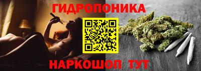шишки Партизанск