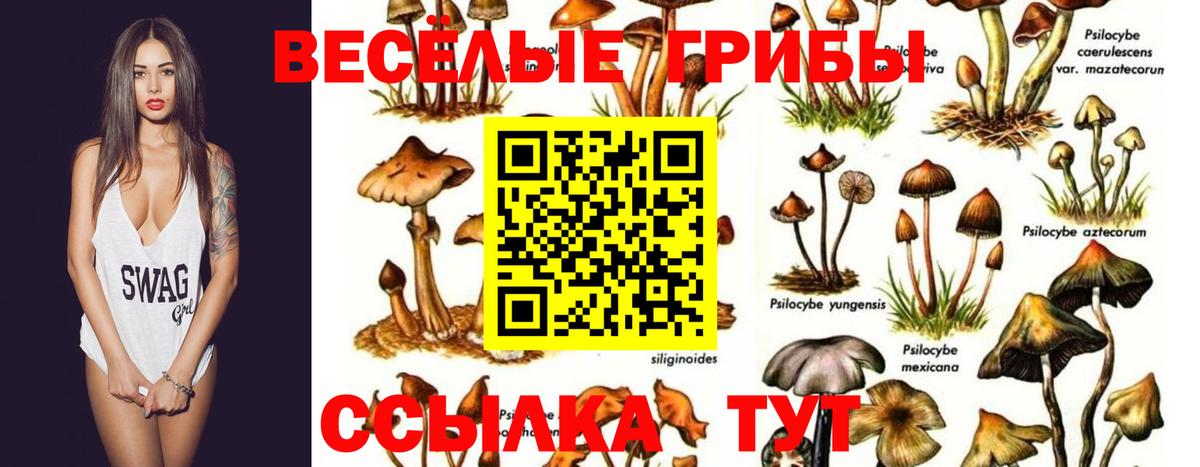 Галлюциногенные грибы Magic Shrooms  Вход с VPN  наркошоп  Строитель 