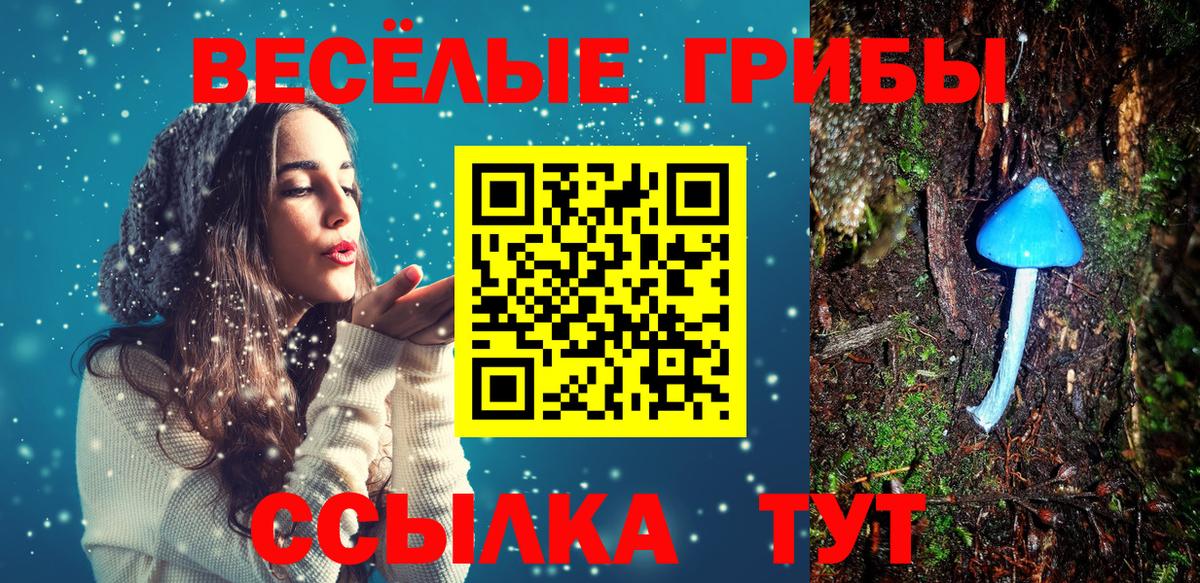 Псилоцибиновые грибы Magic Shrooms Строитель